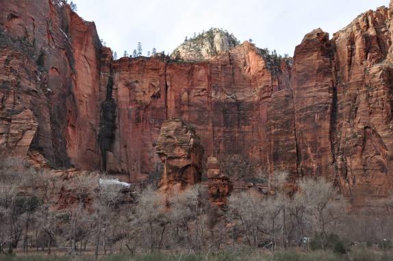 Formações rochosas no fundo do canyon do Zion National Park, em Utah, nos Estados Unidos